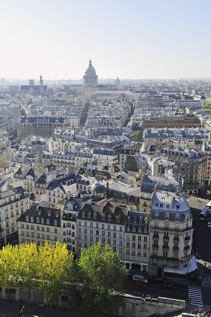France, Ile-de-France, Capital, Paris, 5th, City center, plunging View(Sight
