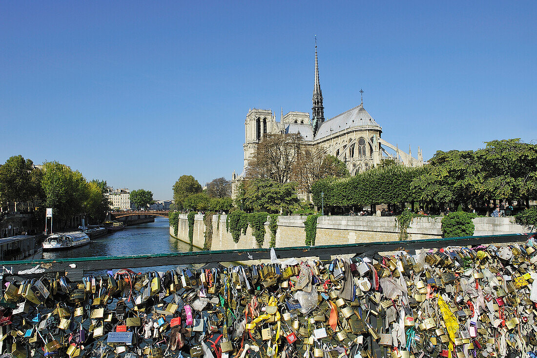 France, Ile-de-France, Capital, Paris, 4th, City center, Notre-Dame