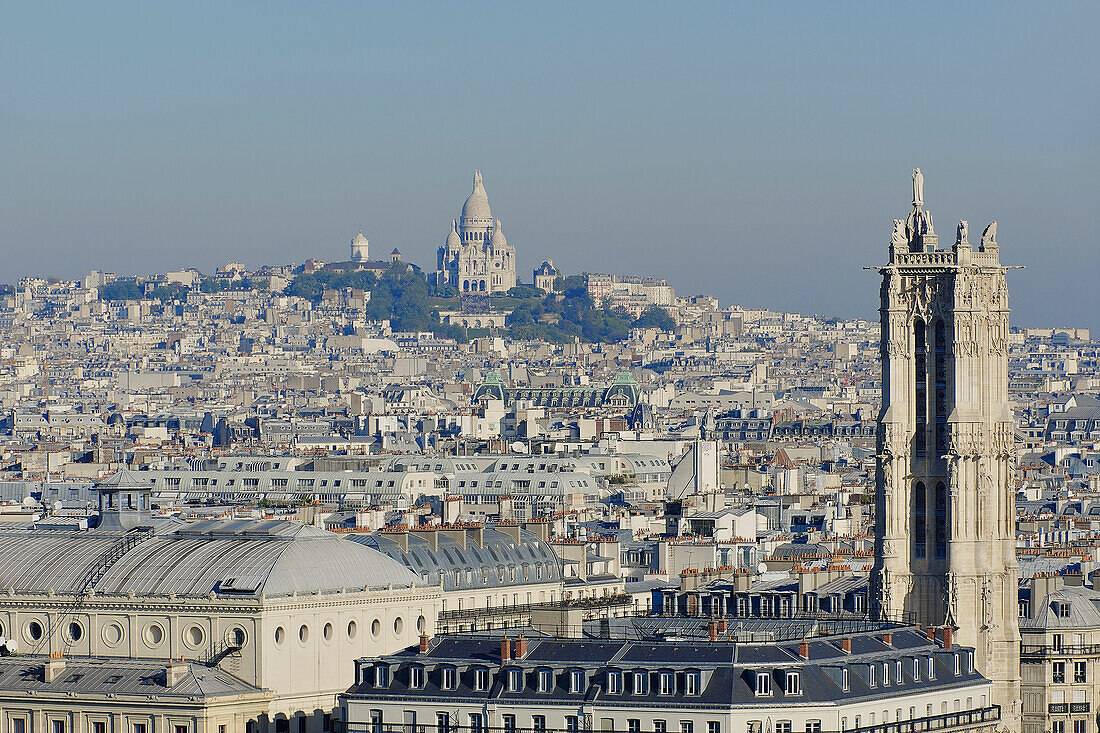 France, Ile-de-France, Capital, Paris, 4th, City center, plunging View(Sight) (seen since Notre-Dame)