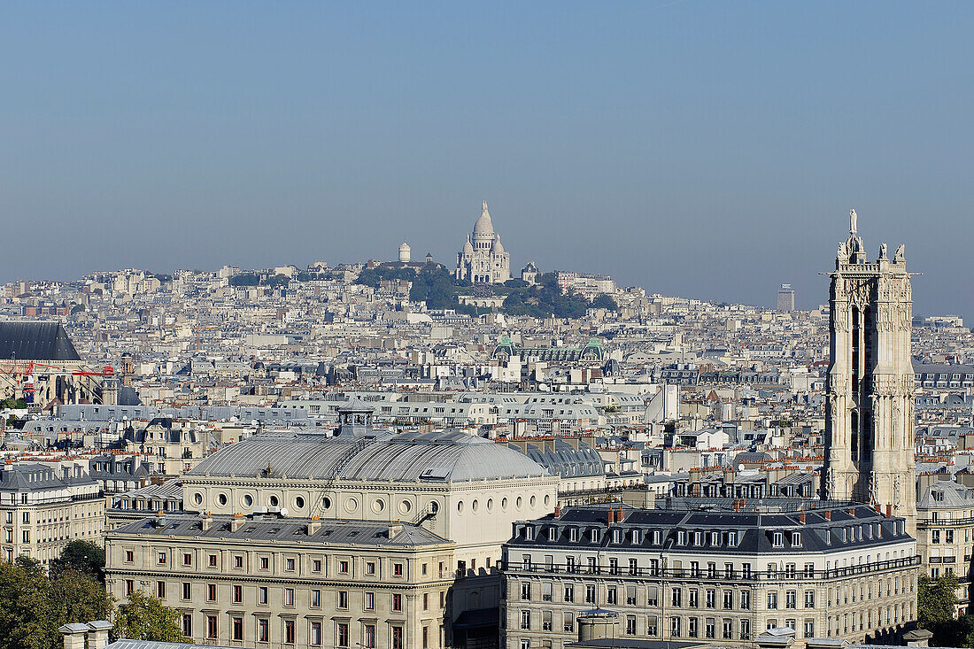 France, Ile-de-France, Capital, Paris, 4th, City center, plunging View(Sight) (seen since Notre-Dame)