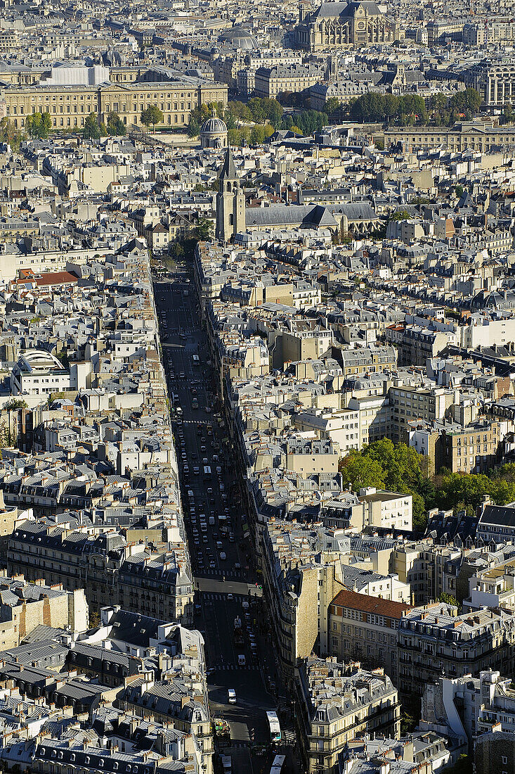 France, Ile-de-France, Capital, Paris, 6th, City center, plunging View(Sight), Saint-Germain-des-Près