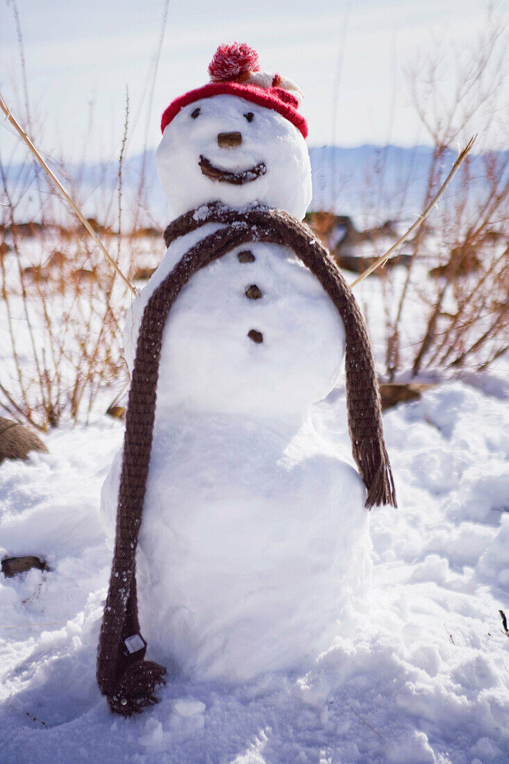 Smiling snowman with hat and scarf