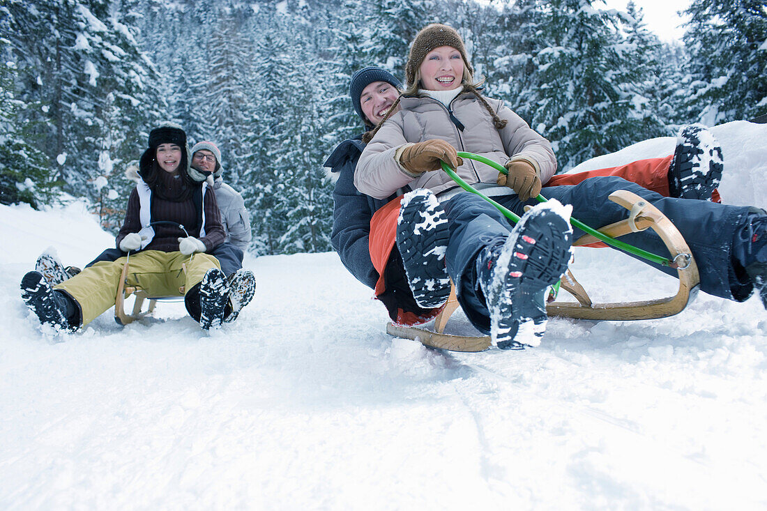 Teenagers riding sled in the snow. Group of young people with winter clothes having fun riding sled in snowy landscape.