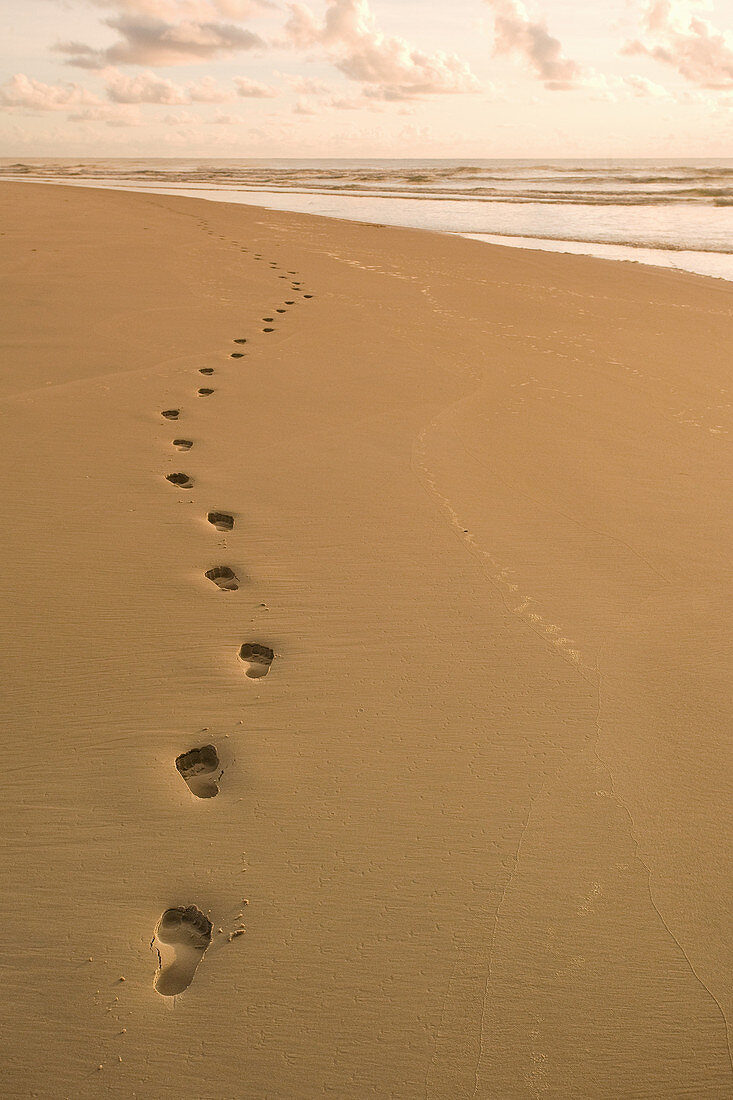Footprints in the sand. Footprints in the sand