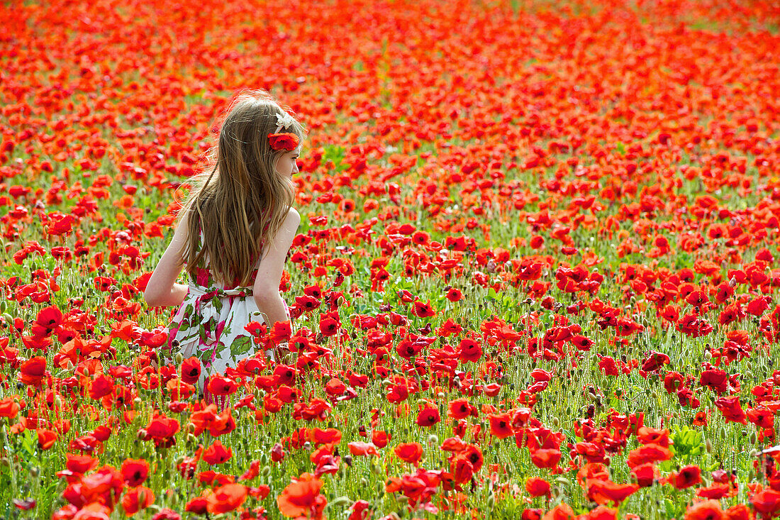 Girl walking in field of flowers. Girl walking in field of flowers