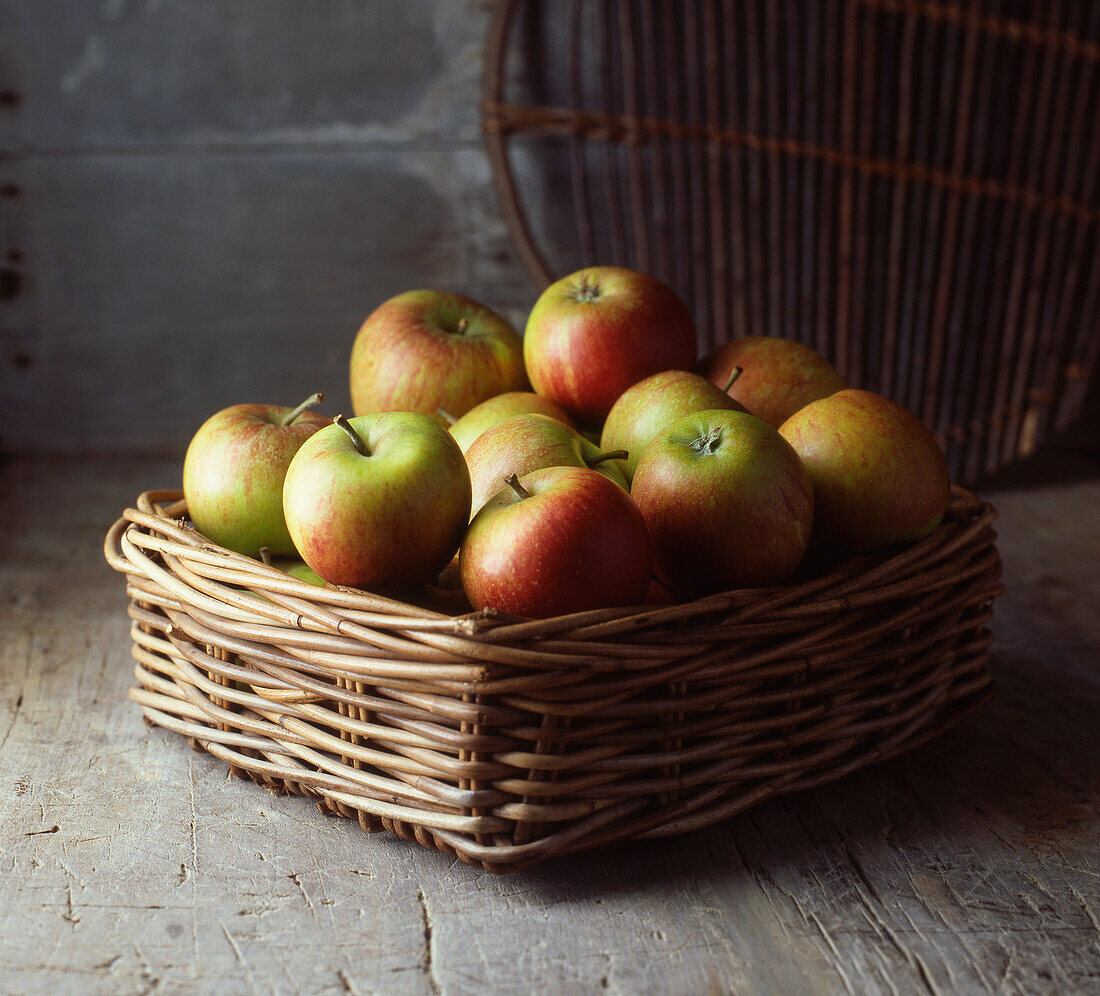 Basket of apples on floor. Coxs Apples in rustic wicker basket on a rustic wooden surface