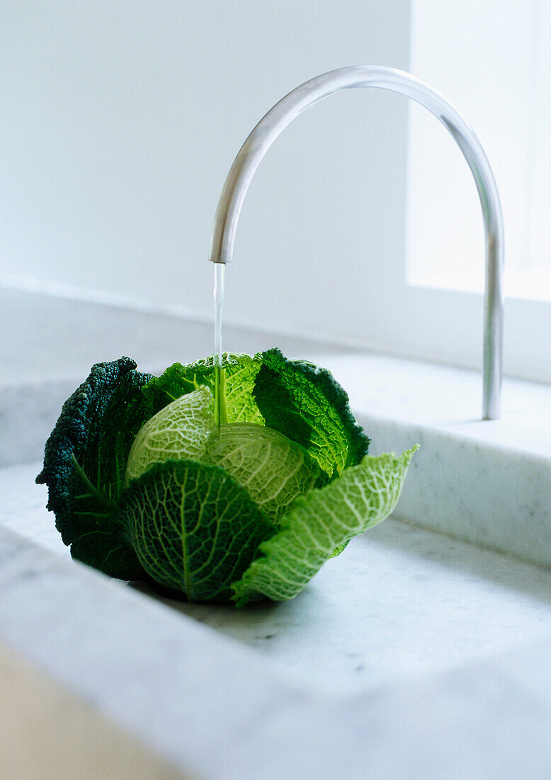 Head of cabbage under faucet. Savoy Cabbage under tap in John Pawson marble sink