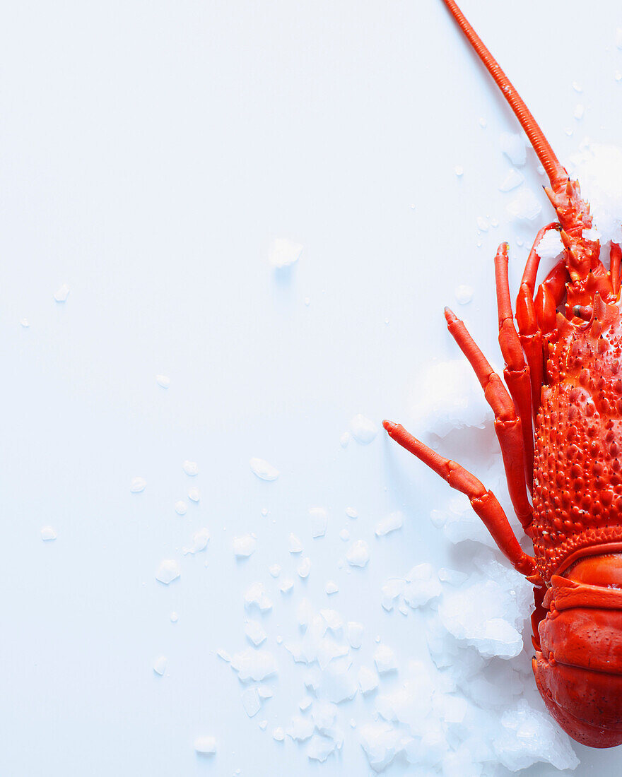 Close up of lobster on ice