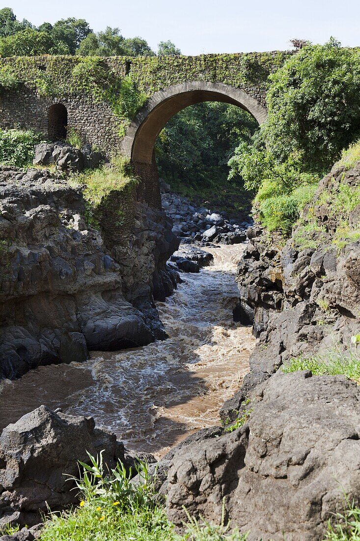 The Blue Nile with the Portuguese Bridge from 1626  A bit downstream from the big waterfalls Tis Isat a bridge is crossing the blue nile in its canyon  It is the oldest Ethiopian stone bridge and dates back to 1626  The bridge is still an important crossi