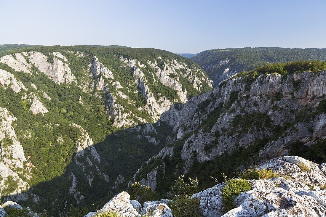The gorge of Zadiel in the slovak karst  The gorge was created by the collapsing of several caves  The National Park Slovak Karst is protecting the Karst region and the UNESCO world heritage of the caves of the Aggtelek and Slovak karst  Europe, East euro