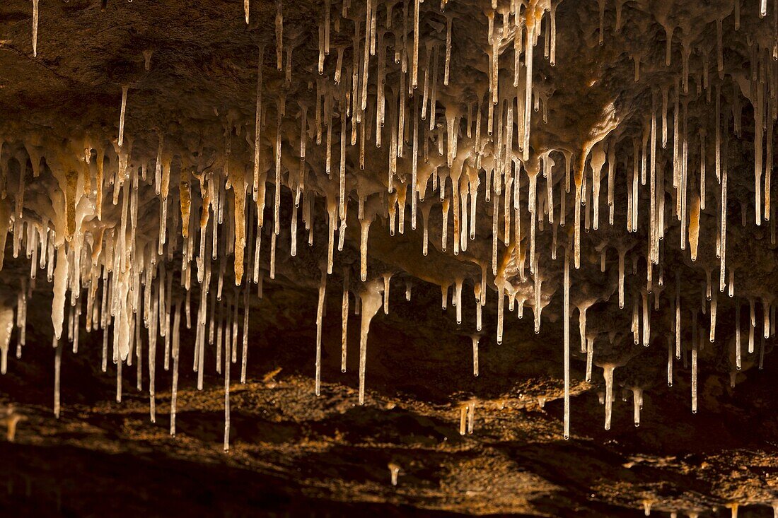 The Baradla Show Cave in the Aggtelek National Park, Hungary, sinter straws  The Baradla Cave in Aggtelek National Park is part of the UNESCO world heritage site of the caves of the Aggtelek and slovak karst  The cave is one of the major attractions of Hu