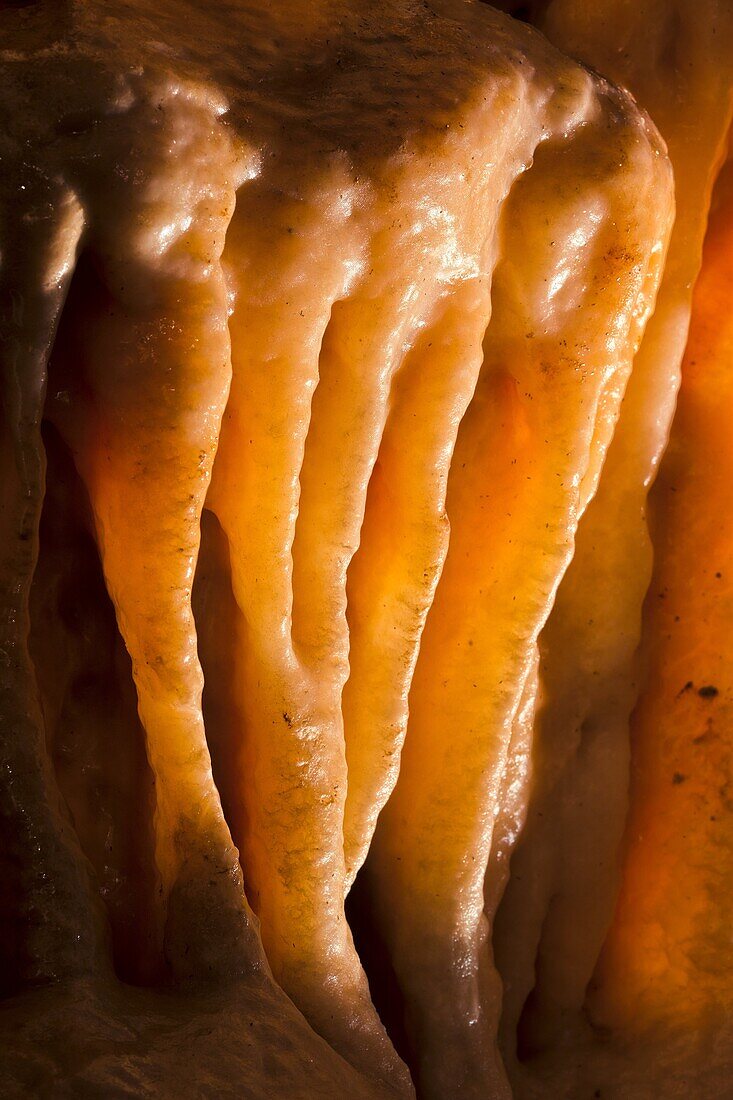 The Baradla Show Cave in the Aggtelek National Park, Hungary  Hall of the Giants, details of a dripstone  The Baradla Cave in Aggtelek National Park is part of the UNESCO world heritage site of the caves of the Aggtelek and slovak karst  The cave is one o