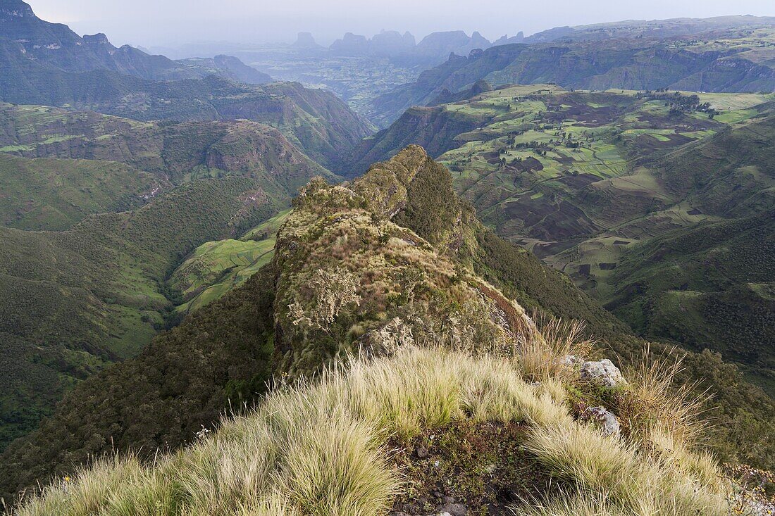 Landscape in the Simien Mountains National Park  AFter sunset at the escarpment near Chennek with a view of the escarpment, the peaks of Inatye and Imet Gogo and the valley of Ansiya Wenz  The Simien Semien, Saemen, Simen Mountains National Park is part o