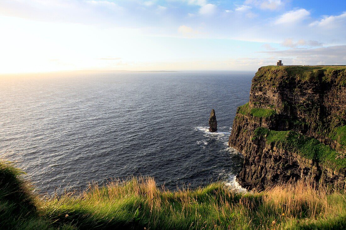 Cliffs of Moher, Clare county, Ireland