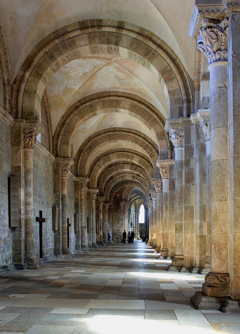 Church Sainte Marie Madeleine Basilica of St  Magdalene, Vezelay, Yonne department, Burgundy, France