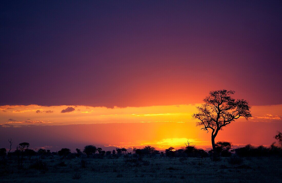 Sunset in the Kruger National Park, South Africa