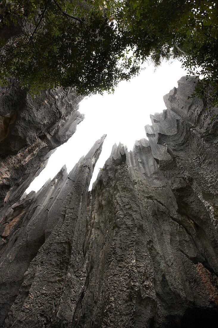 Shilin Stone Forest, Shilin, Yunnan, China