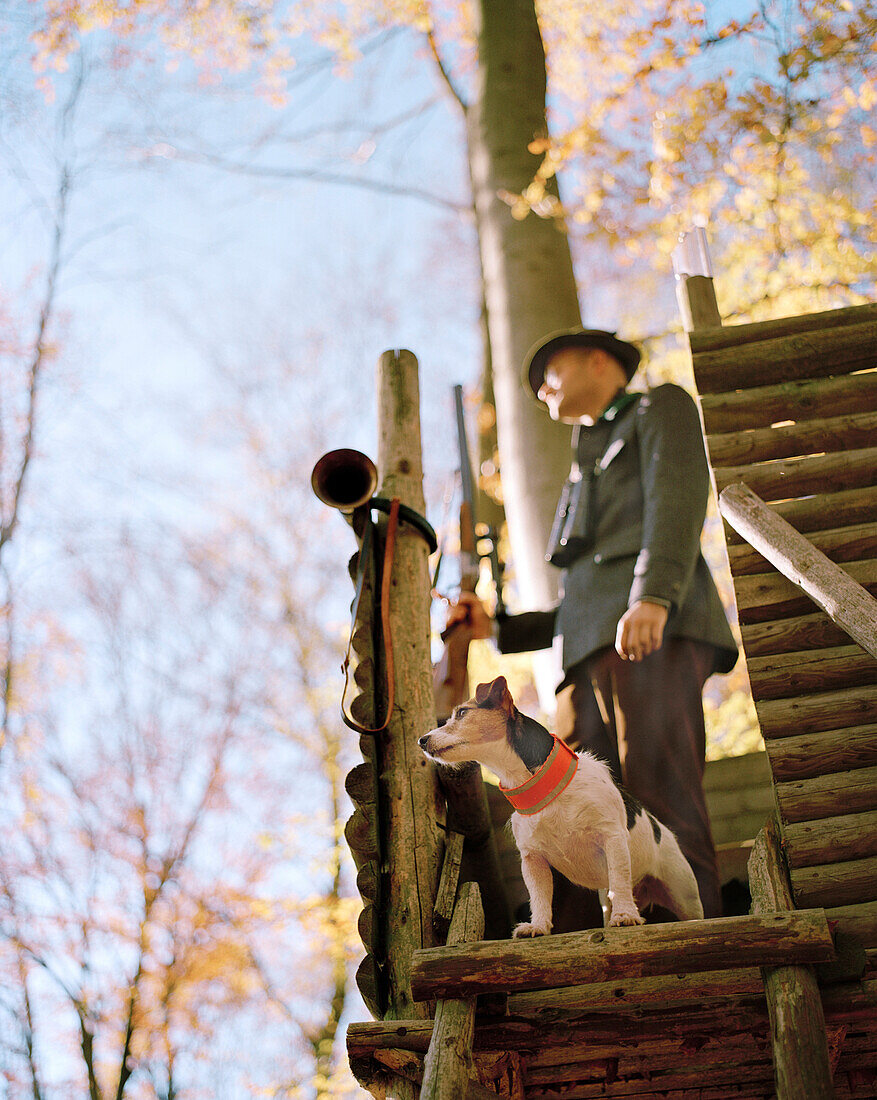 Hunter and dog on the hide, Schloss Frankenberg, Weigenheim, Middle Franconia, Bavaria, Germany, Europe