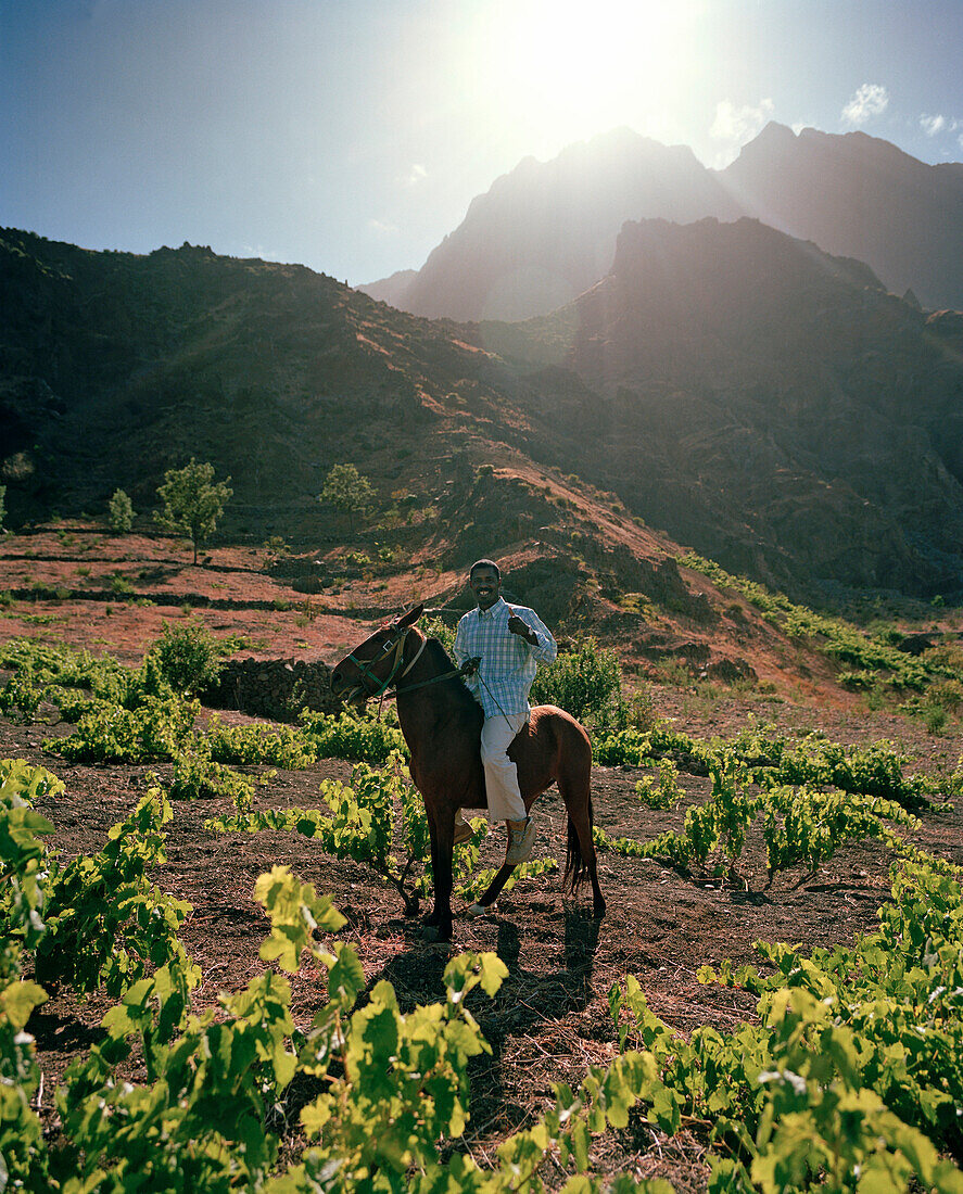 Mann auf seinem Pferd nahe des Dorfes Bangaeira, Cha das Caldeiras, Insel Fogo, Ilhas do Sotavento, Republic Kap Verde, Afrika