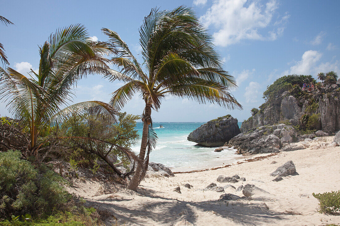 Palmen am Strand nahe antiker Gebäude der Maya Kultur, Ruinen von Tulum, Tulum, Riviera Maya, Quintana Roo, Mexiko, Mittelamerika