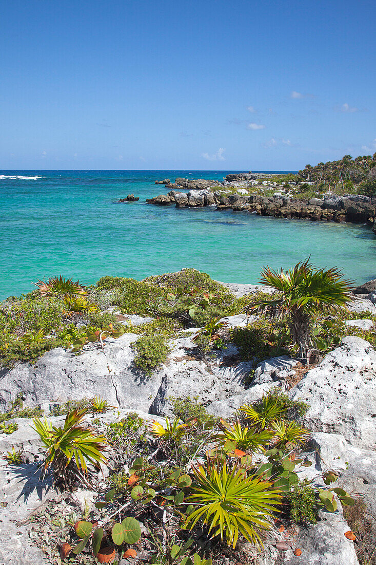 Coastline at Xel-Ha Water Park, Tulum, Riviera Maya, Quintana Roo, Mexico