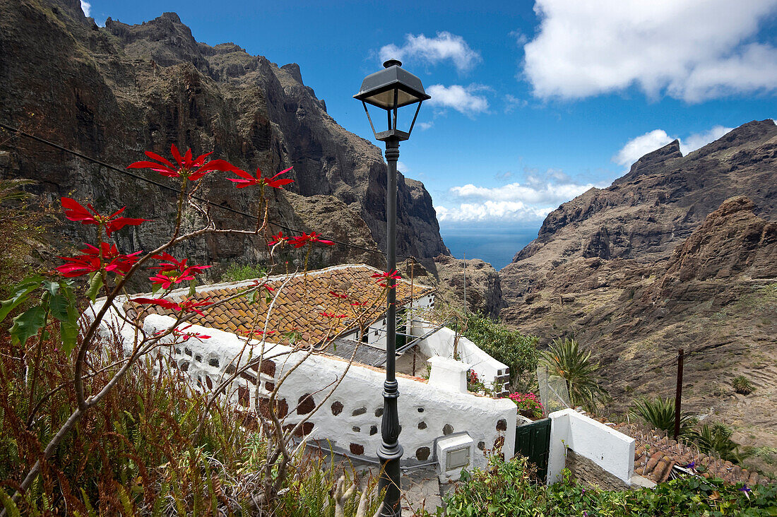 Bergdorf Masca im Teno Gebirge, Teneriffa, Kanarische Inseln, Spanien, Europa