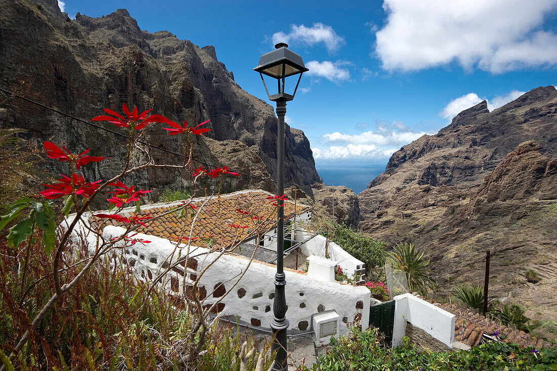 Mountain village of Masca in the Teno mountains, Tenerife, Canary Islands, Spain, Europe