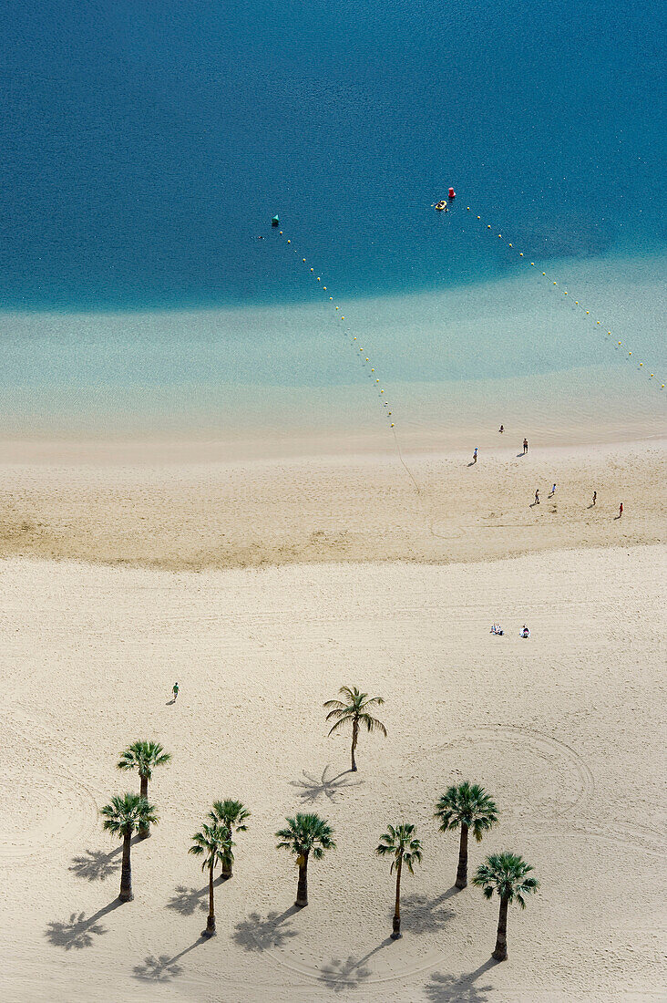 Blick von oben auf Sandstrand mit Palmen, Playa de las Teresitas, San Andres, Santa Cruz de Tenerife, Teneriffa, Kanarische Inseln, Spanien, Europa