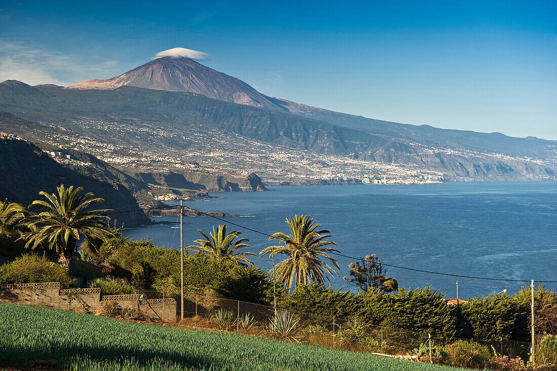 Nordküste und vulkan Pico de Teide, Teneriffa, Kanarische Inseln, Spanien, Europa