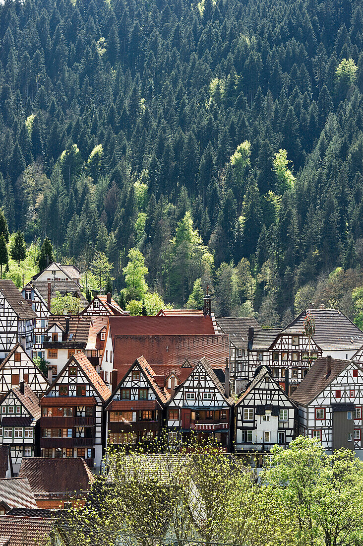 View of medieval inner city with half timbered houses, Schiltach, south of Freudenstadt, Black Forest, Baden-Wuerttemberg, Germany, Europe