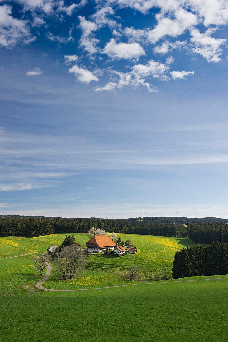 Oberfallengrundhof, traditional farmhouse, Black Forest, Baden-Wuerttemberg, Germany, Europe