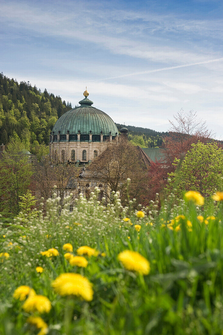 View of the dome of St. Blasien, Black Forest, Baden-Wuerttemberg, Germany, Europe