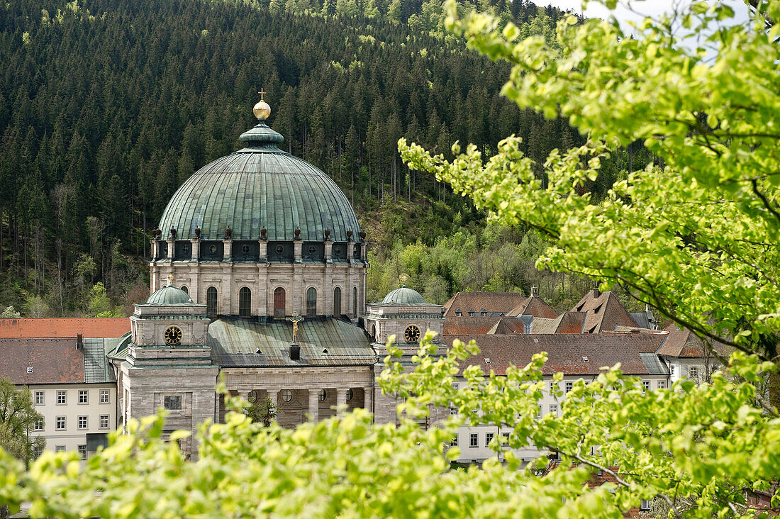 View of the dome of St. Blasien, Black Forest, Baden-Wuerttemberg, Germany, Europe