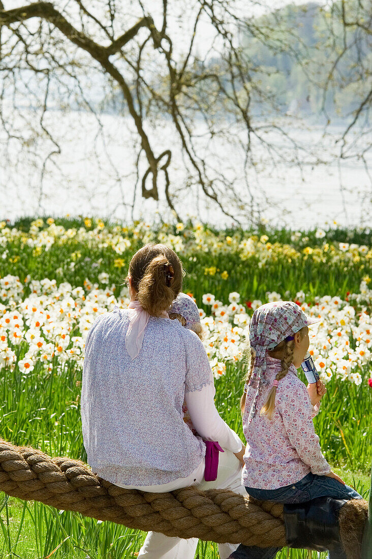 Narzissenwiese und Frau mit Kindern, Insel Mainau, Bodensee, Baden-Württemberg, Deutschland, Europa