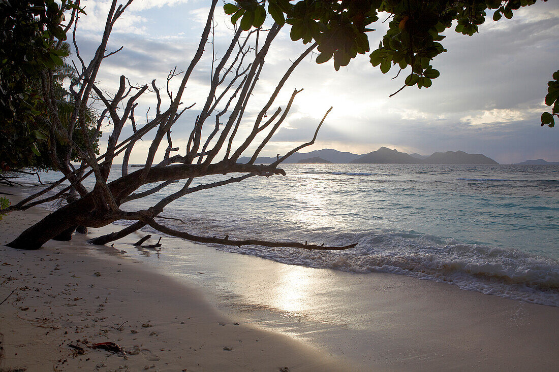 Abendstimmung am Strand, Insel La Digue, Seychellen, Indischer Ozean
