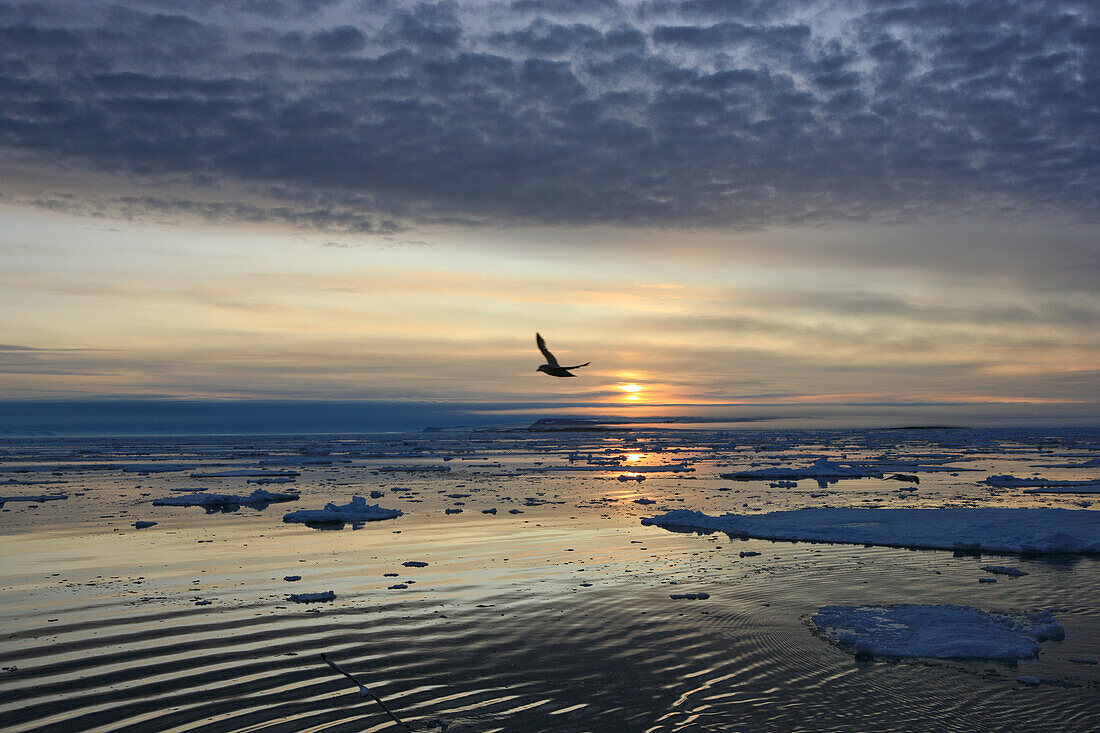 Mitternachtssonne im arktischen Meer bei Spitzbergen, Norwegen, Europa