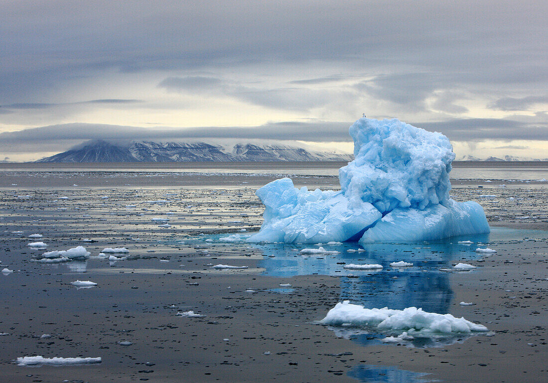 Blauer Eisberg im arktischen Meer, Nordaustlandet, Spitzbergen, Norwegen, Europa