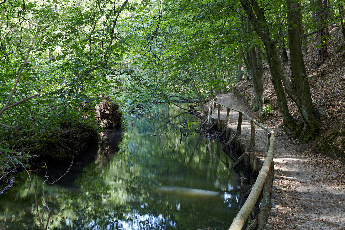 Path along the Schlaube river near Bremsdorf, Schlaube Valley Nature park, Brandenburg, Germany