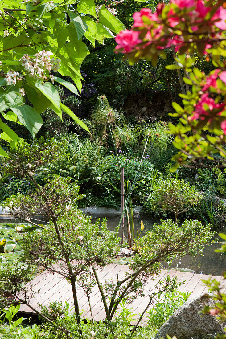 Blick auf Teich mit Steg im Garten von Andre Heller, Giardino Botanico, Gardone Riviera, Gardasee, Lombardei, Italien, Europa