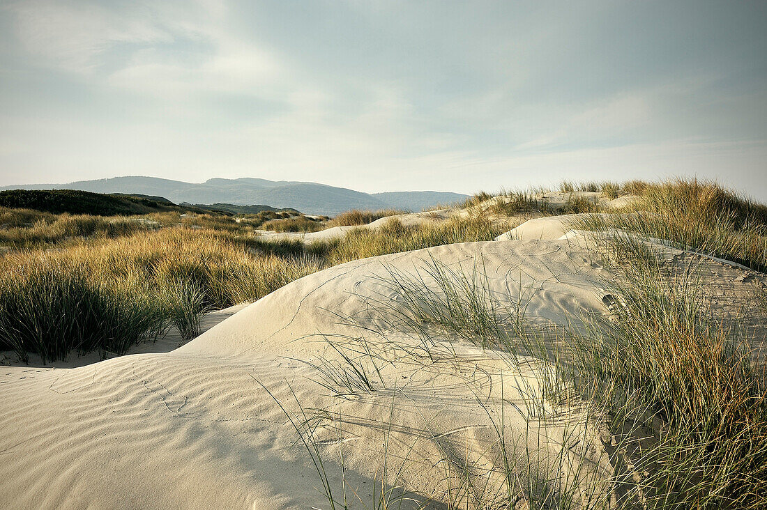 Sand dunes along the beach of Cloudy Bay, Bruny Island, Tasmania, Australia