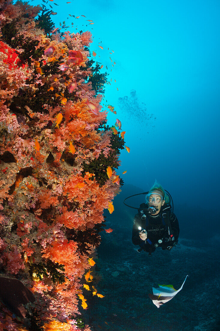 Taucher an Korallenriff, Nord Male Atoll, Indischer Ozean, Malediven