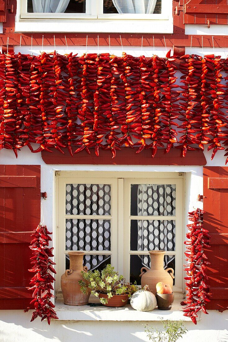 Espelette Peppers, Chilischoten zum Trocknen an den Hauswänden, Espelette, Aquitanien, Baskenland, Pyrenees Atlantiques, 64, Frankreich