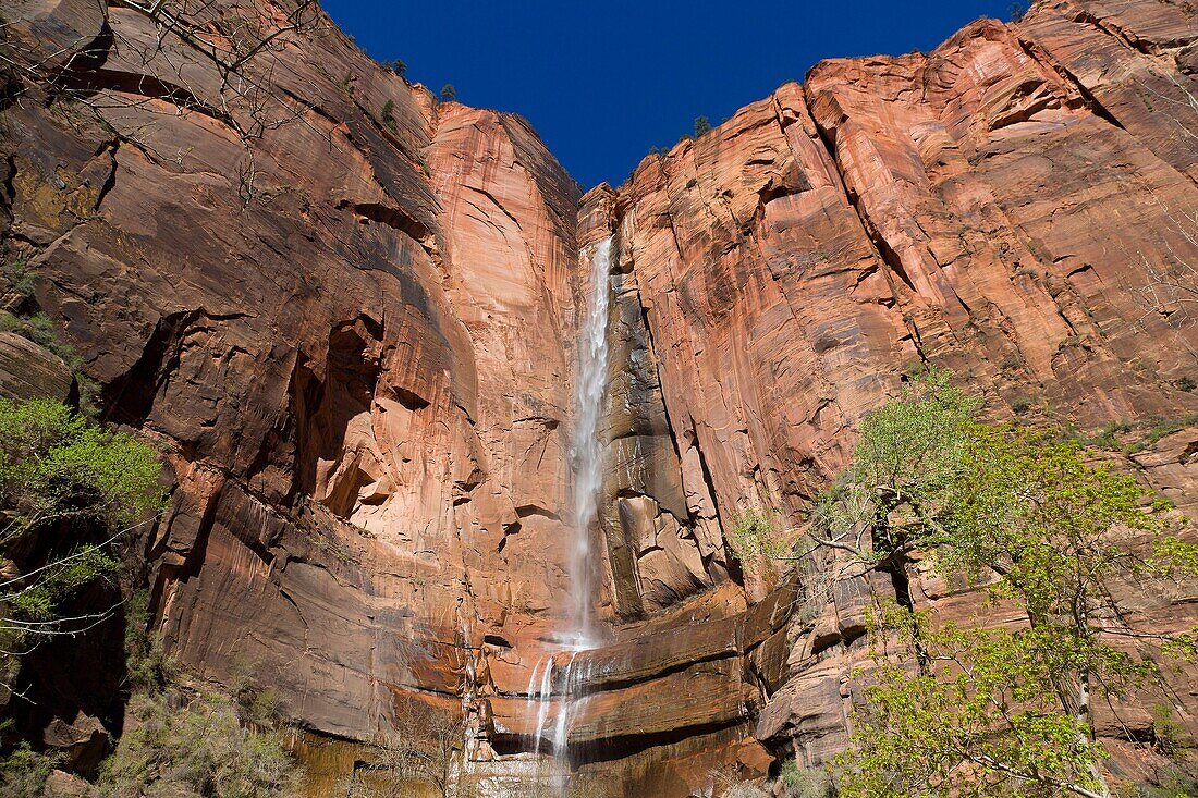 Zion NP  Utah  USA