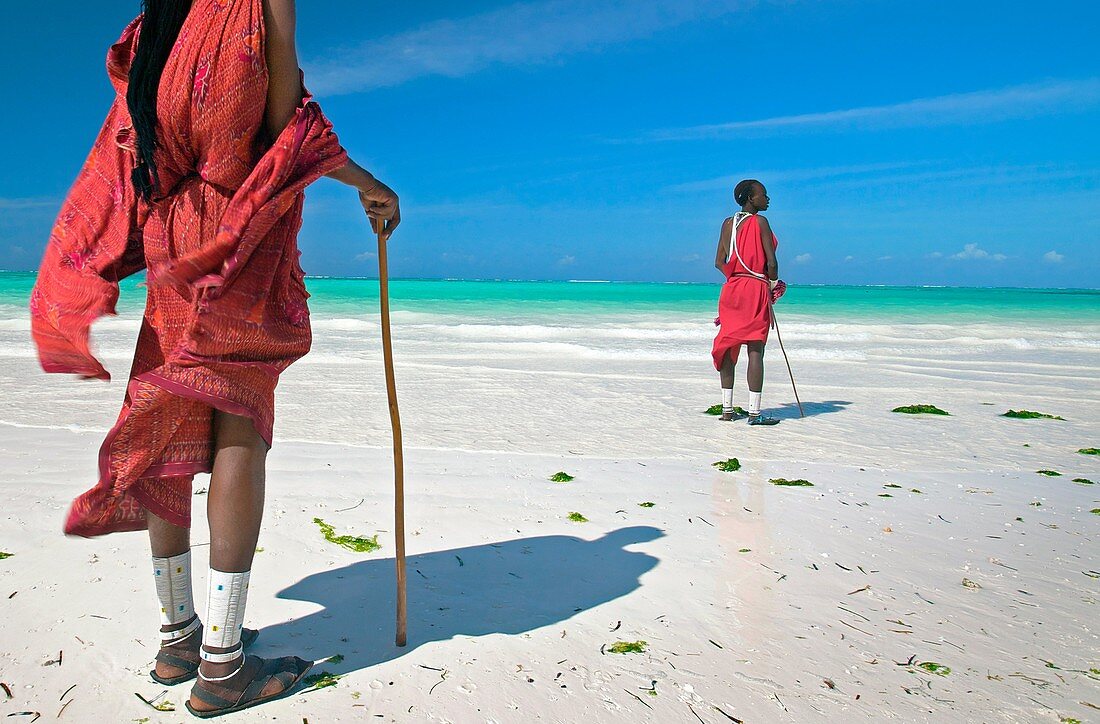 Masai people  Kiwengwa beach  Zanzibar Island  Tanzania