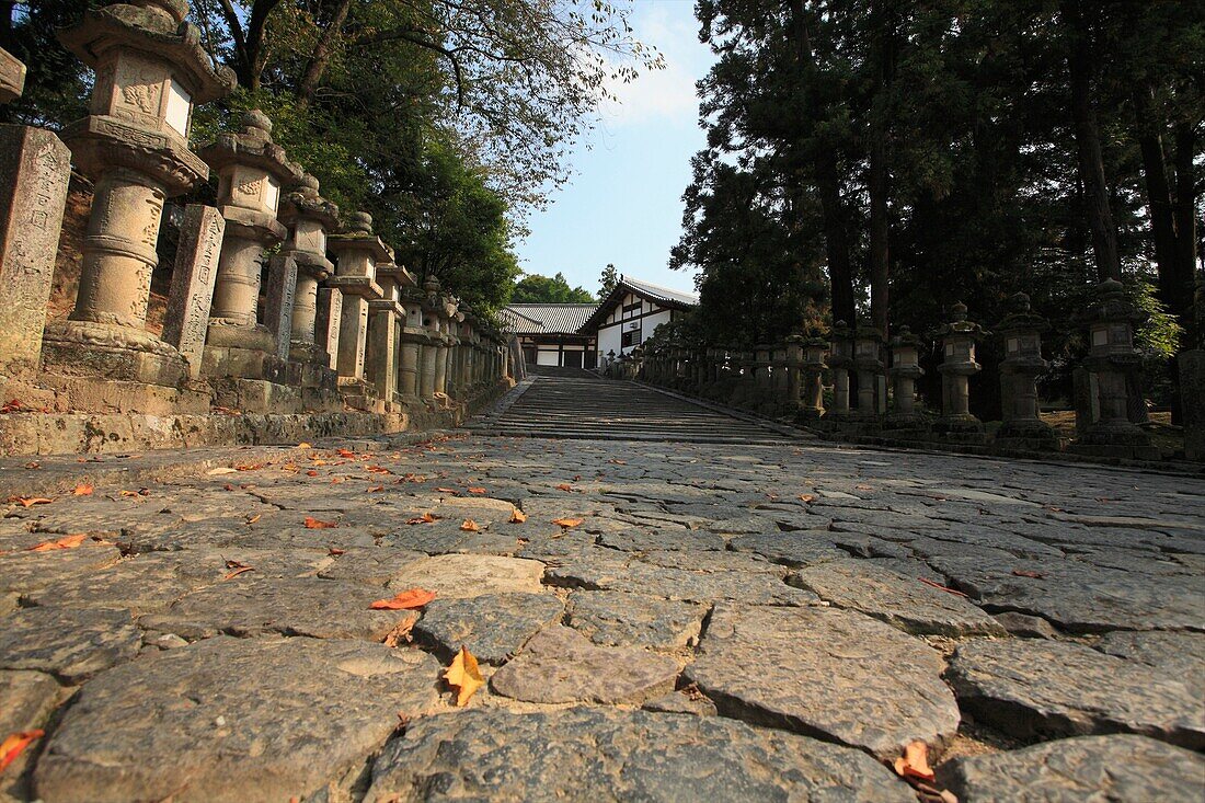 Japan, Nara, Stone Lanterns