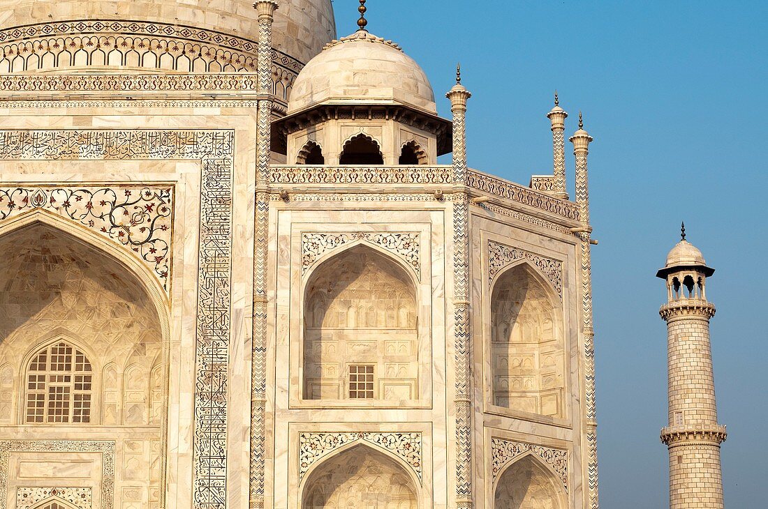 Taj Mahal Close up, Agra, India