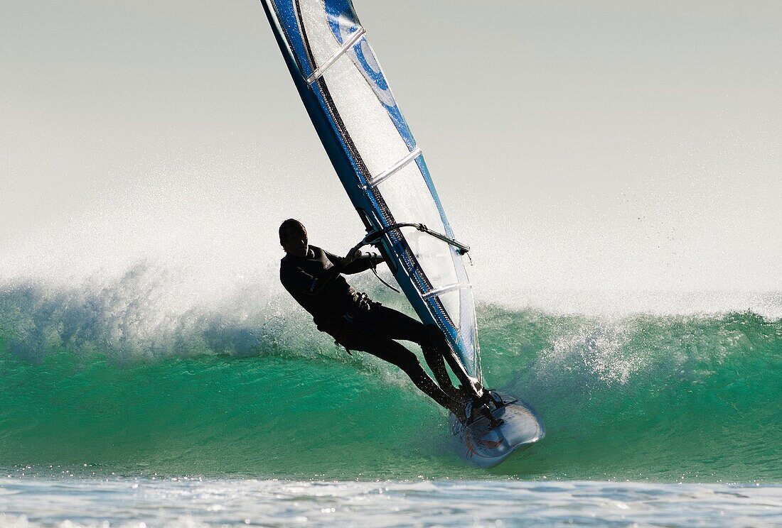 adult, board, exercise, Man, outdoor, sea, shore, sport, surfing, wave, windsurf, windsurfing, YX7-1387584, AGEFOTOSTOCK