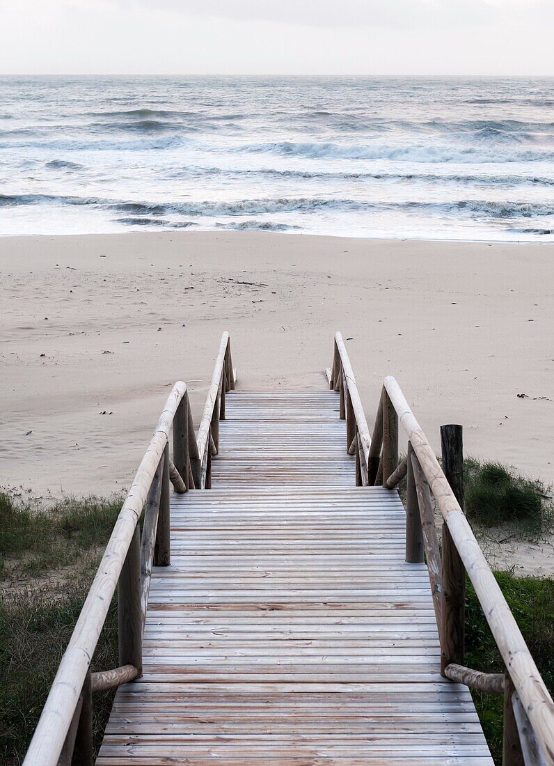 beach, fence, landscape, outdoor, path, seascape, shore, stair, vertical, view, walkway, wooden, YX7-1387574, AGEFOTOSTOCK