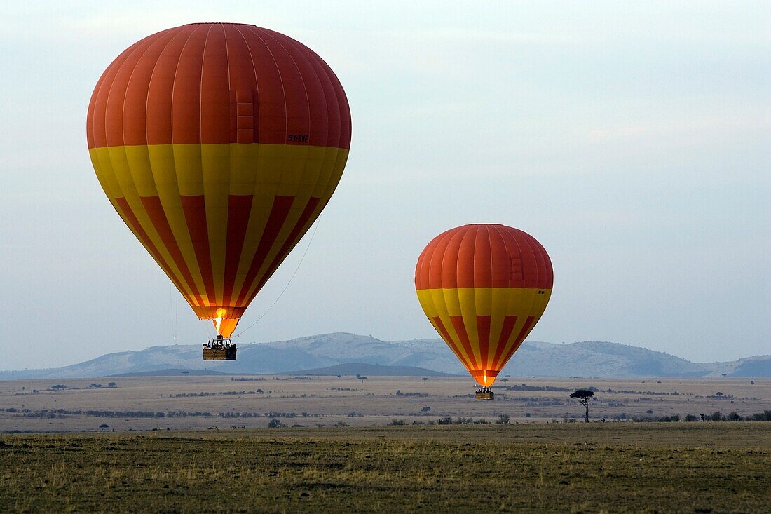 Two hot air balloons over the Masai Mara National Reserve, Kenya