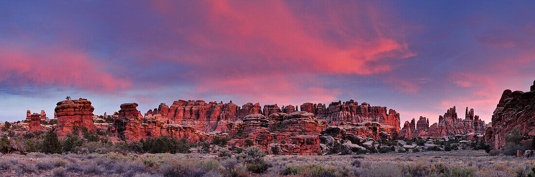 Panorama of rock spires in Chesler Park in the evening, Needles Area, Canyonlands National Park, Moab, Utah, Southwest, USA, America